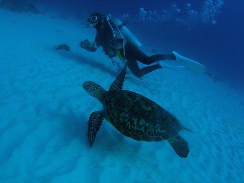 沖縄海あそび本番！北谷発で行くケラマの海！