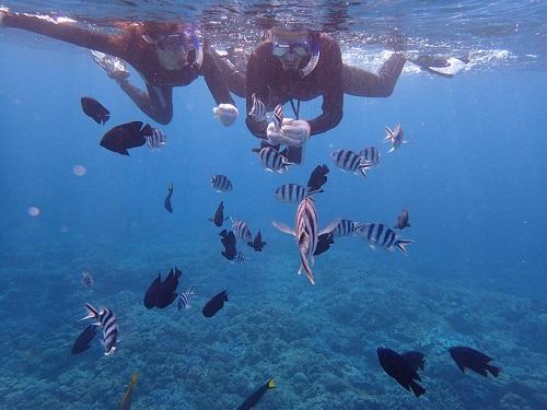 沖縄本島 体験ダイビング シュノーケル ツアー 初めて 泳げない 