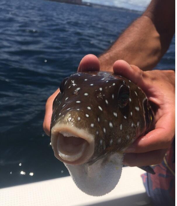 沖縄 海遊び マリンスポーツ 釣り 3歳