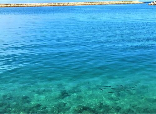 沖縄の冬の海についてご紹介！冬でも沖縄は海に入ることができる？