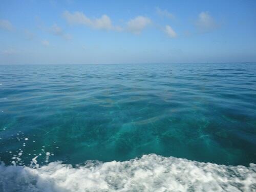 沖縄の冬の海についてご紹介！冬でも沖縄は海に入ることができる？