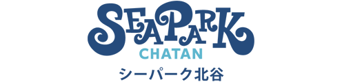 沖縄・北谷町でマリンスポーツ＆海遊び｜北谷町漁業協同組合 総合案内所