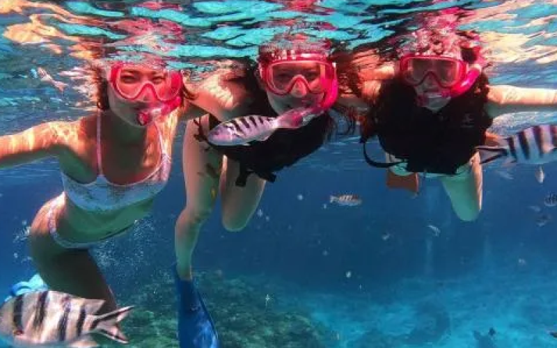 11000005247503_MpMvzVn6_4 (1)